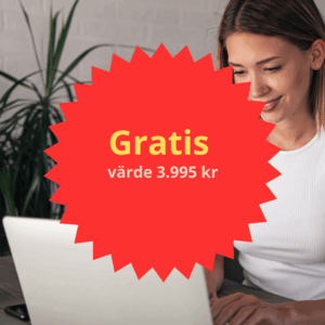 Kurs Online Starta ditt företag – Gratis Minikurs (1)